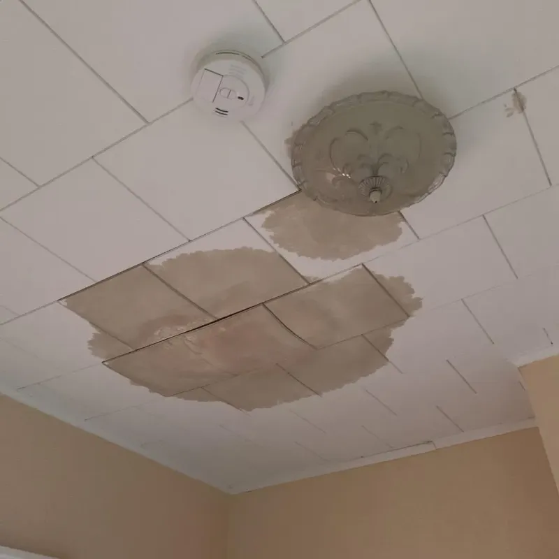 Ceiling Water Damage Repair in Morton County, KS