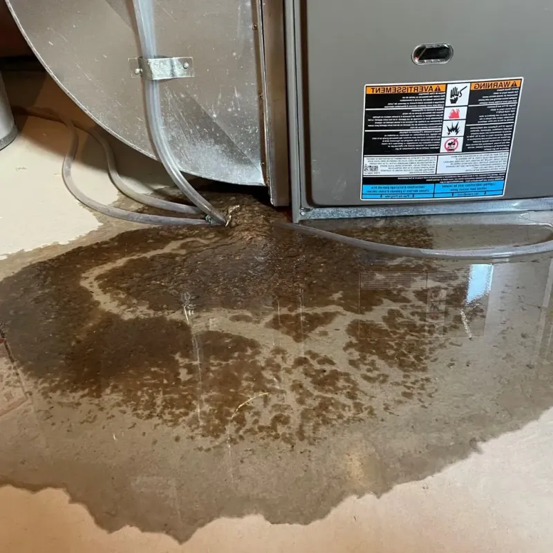Pipe Burst and Leak Restoration in Morton County, KS