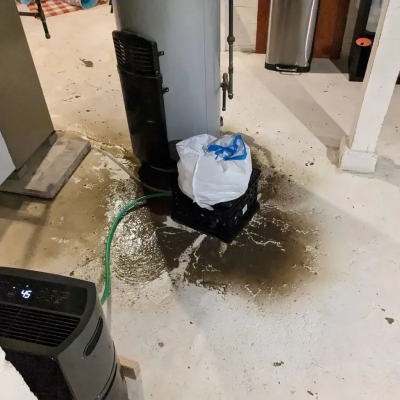 Sewage Backup Cleanup Service in Morton County, KS